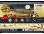http://www.flashconverter.net 1.50