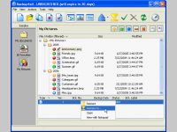 Backup4all for U3 Portable Backup