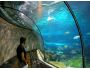 Breathtaking Pictures Screensaver 1