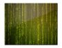 Matrix Screensaver 2.4.1.4
