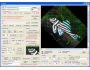 x360soft - Image Viewer ActiveX OCX(Twice Developer License) 4.0