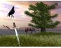 Sword of Honor 3D Screensaver 1.01