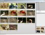 MyPhotoIndex 1.17