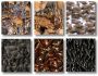 Imagelys Texture Pack #1 1