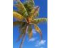 Bahamas Screen saver 1.0