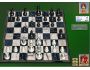Championship Chess Pro for Windows 7.07
