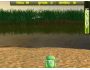 Frog Game Deluxe 2008 3.1