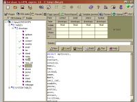 DB to HTML Express