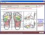 MB Free Reflexology 1.80