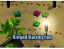 Ringed Racing Fun 2.0
