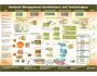 Network Management Map 2007
