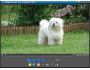 FLVPlayer4Free Free FLV Player 2.6.0.0