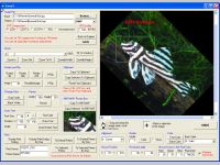 Tiff Image Viewer ActiveX Control