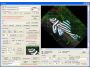 Tiff Image Viewer ActiveX Control 4.2