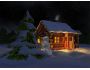 Nival Winter 3D Screensaver 1.0