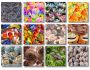 Imagelys Texture Pack #6 1