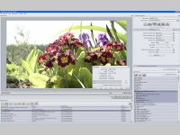 Elecard Converter Studio