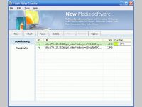 Flash Video Grabber