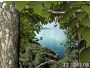Living Forest 3D Screensaver 1.0