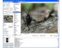 GdPicture Pro Imaging OCX - Site License 4.1.5