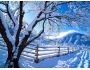 White Winter Screensaver 1.0