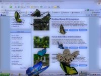 Desktop Butterflies 3D Screensaver