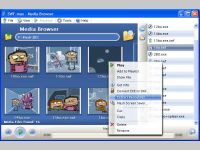 SWF.max Flash Player