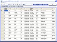 Family Database 2008 Pro