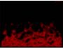 SaversPlanet Flame Screensaver 1.2