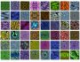 Imagelys Texture Pack #8 1