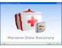 Mareew Data Recovery 1.4.9