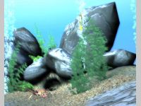 Free 3D Marine Screensaver
