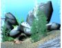 Free 3D Marine Screensaver 1.0