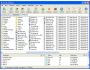 FlexTk Professional 2.1.18