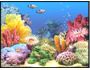3D Tropical Fish Aquarium. Scene 3 3.0