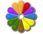 IE Flower 1