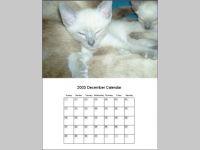 Calendar Builder Program