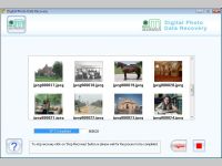 Erased Digital Pictures Recovery Tool