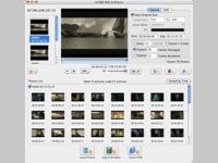 ImTOO DVD to Picture for Mac