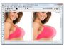 Virtual Plastic Surgery Software ( VPSS ) 1.0