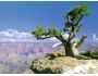American Canyons Free Screensaver 1.0