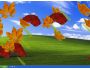 EIPC Autumn Leaves Screensaver 1.3