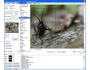 GdPicture Light Imaging Toolkit - Site License 4.6.0
