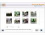 Sony Handycam Photo Recovery 3.0.1.5
