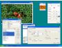Picturama 1.4.0