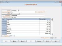 Professional Accounting Software