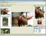 Antix Cropper 1.1