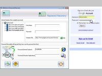Internet Explorer Password Rescue Tool