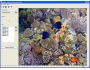 Aquarium Screensaver Maker 1.0.0