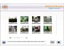 Digital Camera Memory Recovery 3.0.1.5